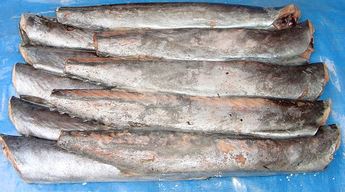 BARRACOUTA FISH | Econo Foods