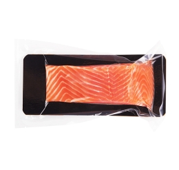 AQUATIC NORWEGIAN SALMON PORTION