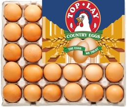 TOPLAY LARGE EGGS